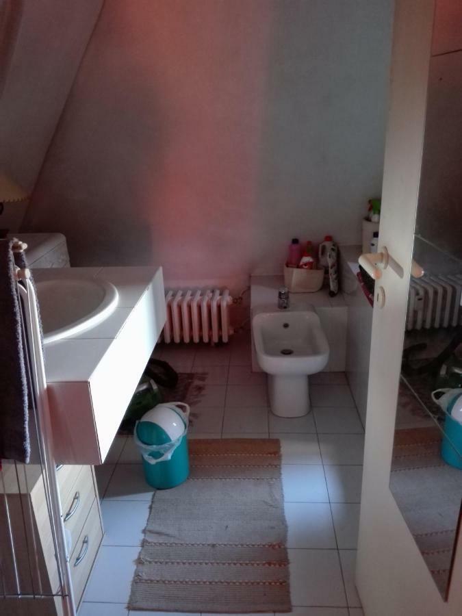 Mansarda Apartment Milan Bagian luar foto